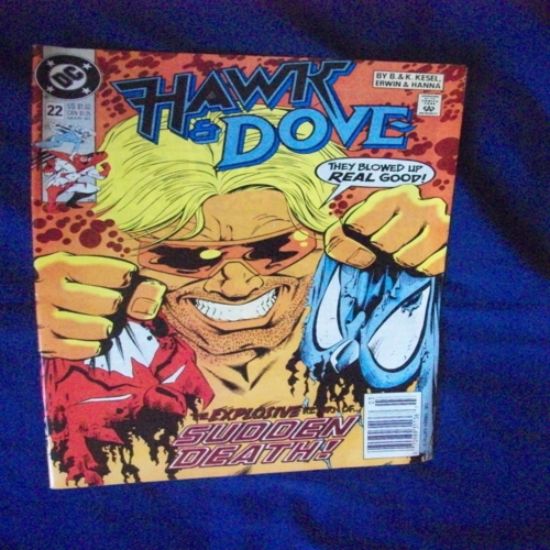 Picture of Hawk and dove #22 comic