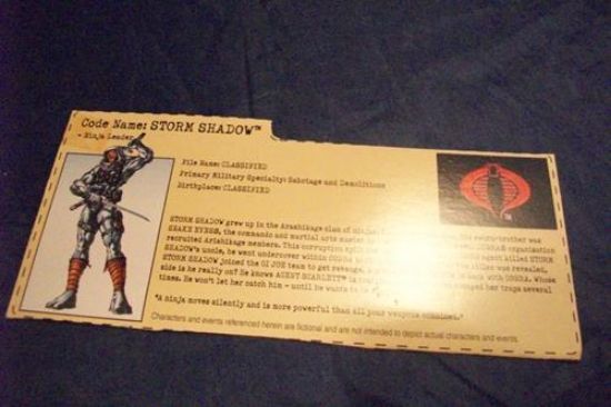 Picture of 2002 storm shadow filecard