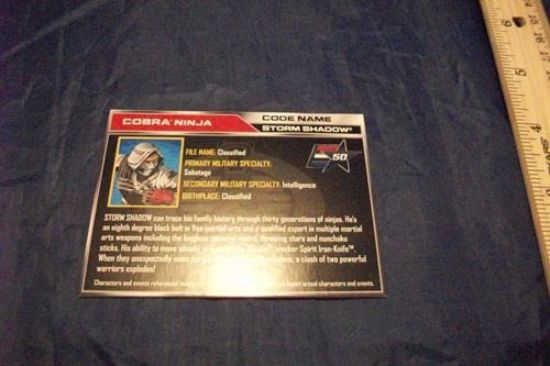 Picture of 2010 storm shadow ninja filecard