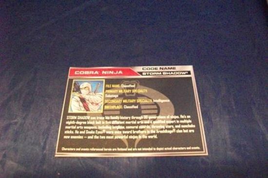 Picture of 2011 storm shadow ninja filecard