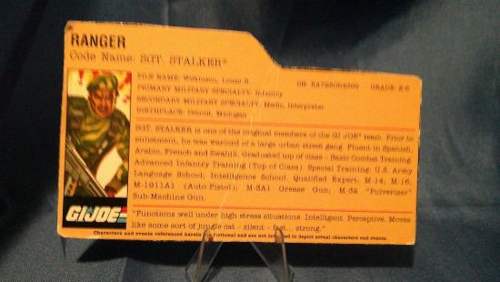 Picture of 2008 sgt stalker filecard