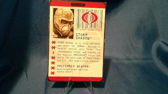 Picture of 2010 roc storm shadow filecard