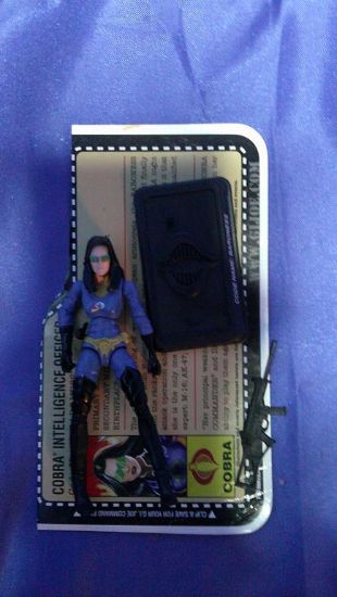 Picture of 2007 baroness loose complete with filecard