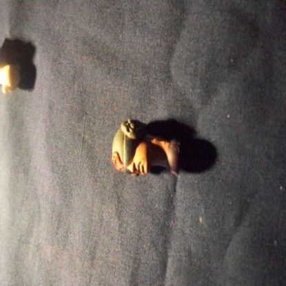 Picture of 2004 televiper head