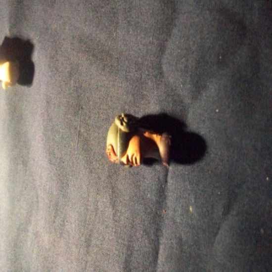 Picture of 2004 televiper head