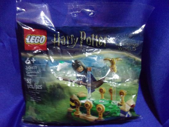 Picture of 2023 harry potter quidditch practice new lego set