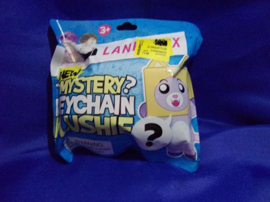 Picture of 2024 lankey box mystery keychain new