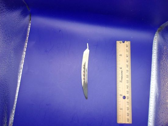 Picture of 2004 star wars naboo kaadu feather