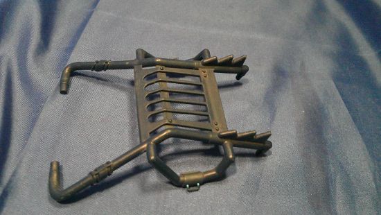 Picture of 1993 ice snake canopy