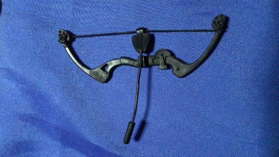 Picture of 2004 jaks pacific wwf tatanka bow