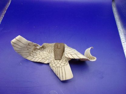 Picture of 1987 raptor wings