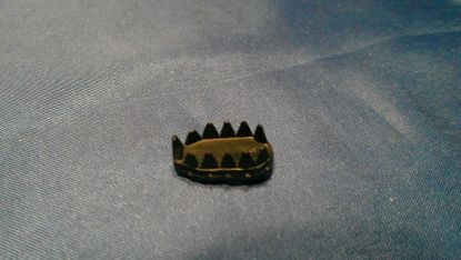 Picture of 1988 blizzard shoe