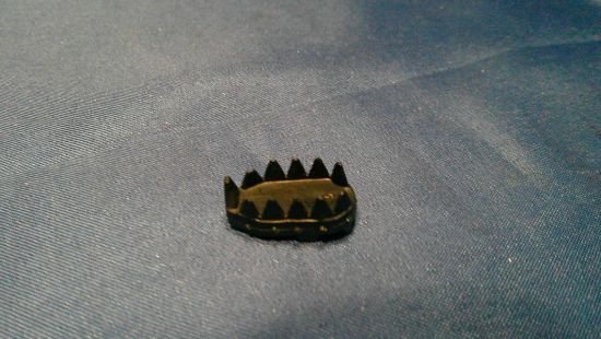 Picture of 1988 blizzard shoe