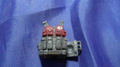 Picture of 2009 night adder vest