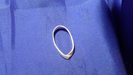 Picture of 2009 snake eyes v46 sash